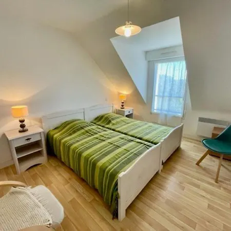 Villa Maison Moderne A - 8 Pers, Pres, Quartier Calme, Jardin Sud, Animaux Acceptes - Fr-1-478-172 Quiberon